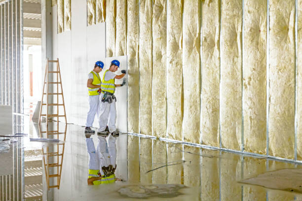 Best Insulation Maintenance and Repair in Clyde, TX